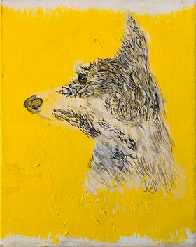 Paint a Pet